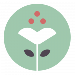 Fomentamos las comunidades vecinales de cuidados en el entorno rural